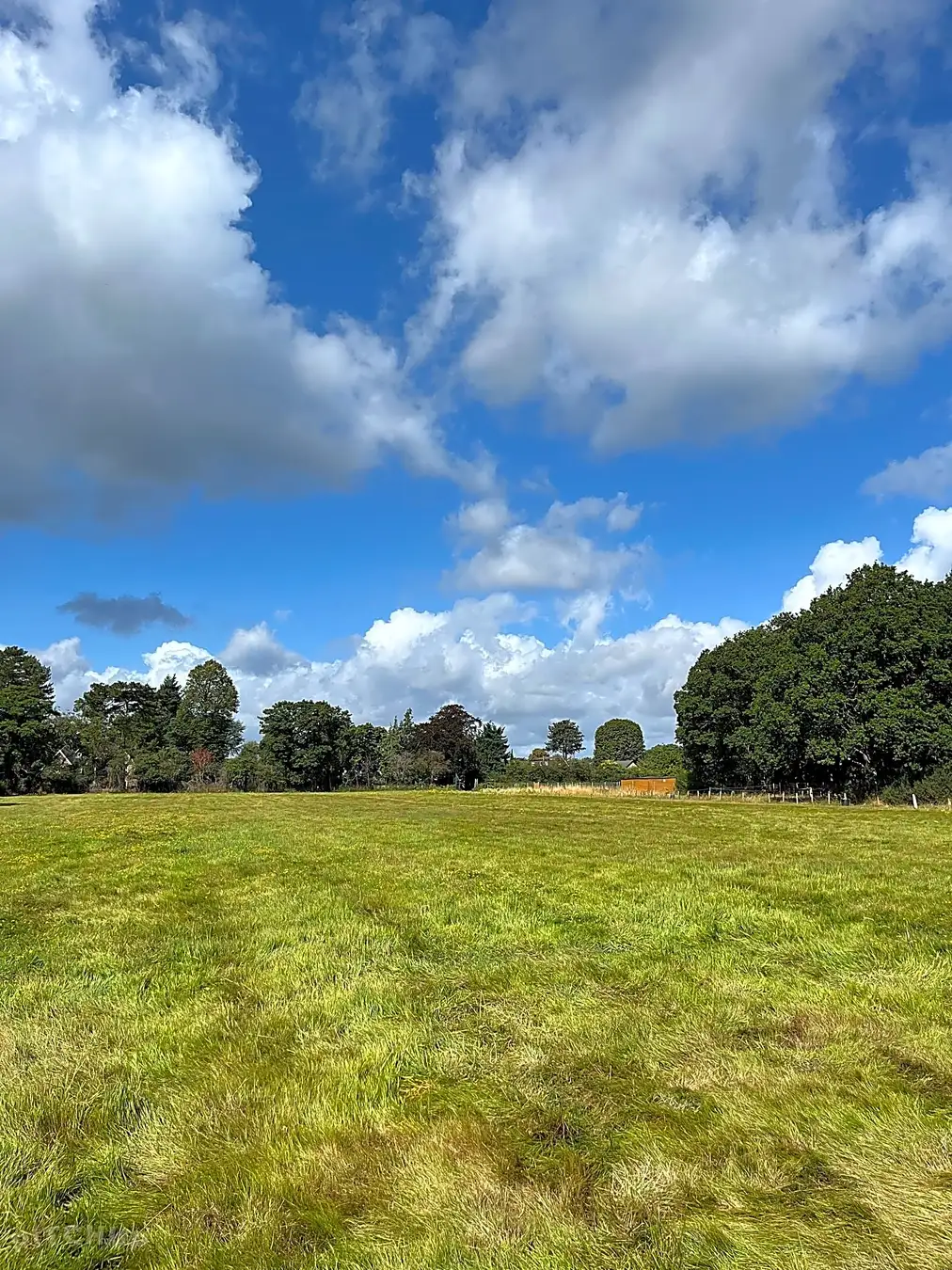 Hedgerow and farmland bordering the campsite